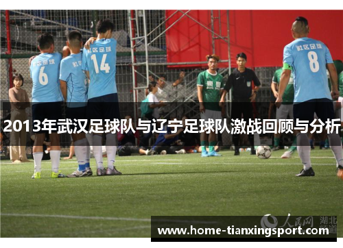 2013年武汉足球队与辽宁足球队激战回顾与分析